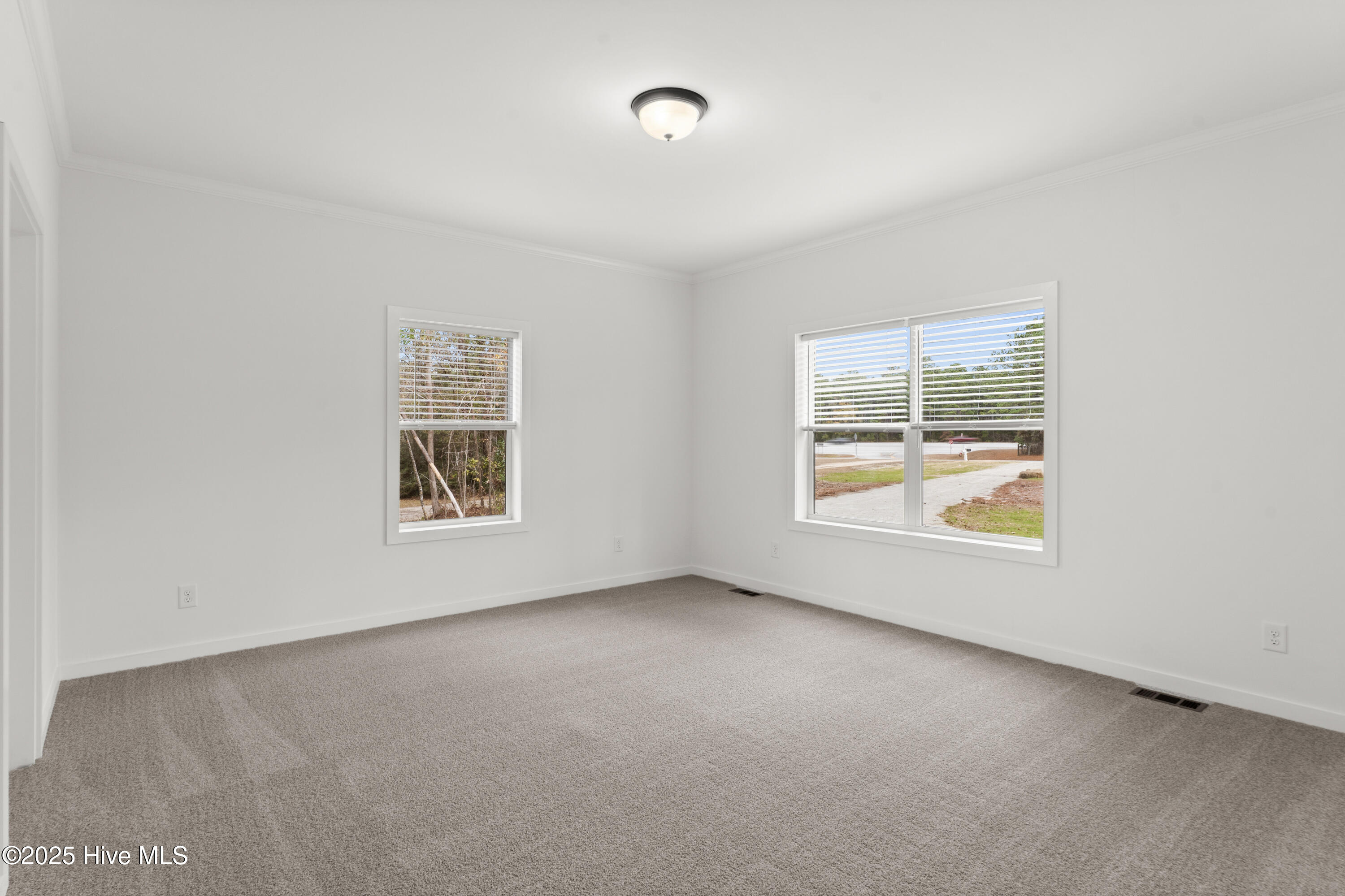 100546141 | Photo 21