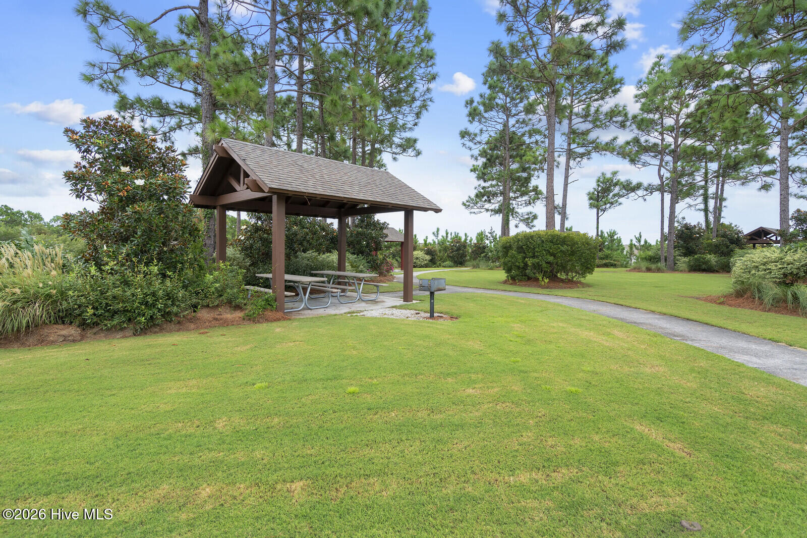 100558633 | Photo 47