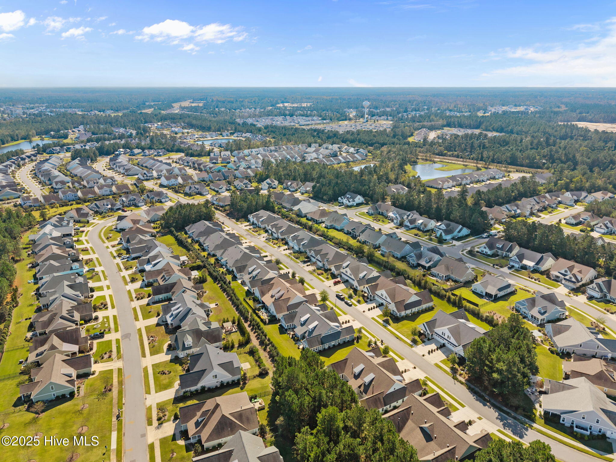 100536658 | Photo 48