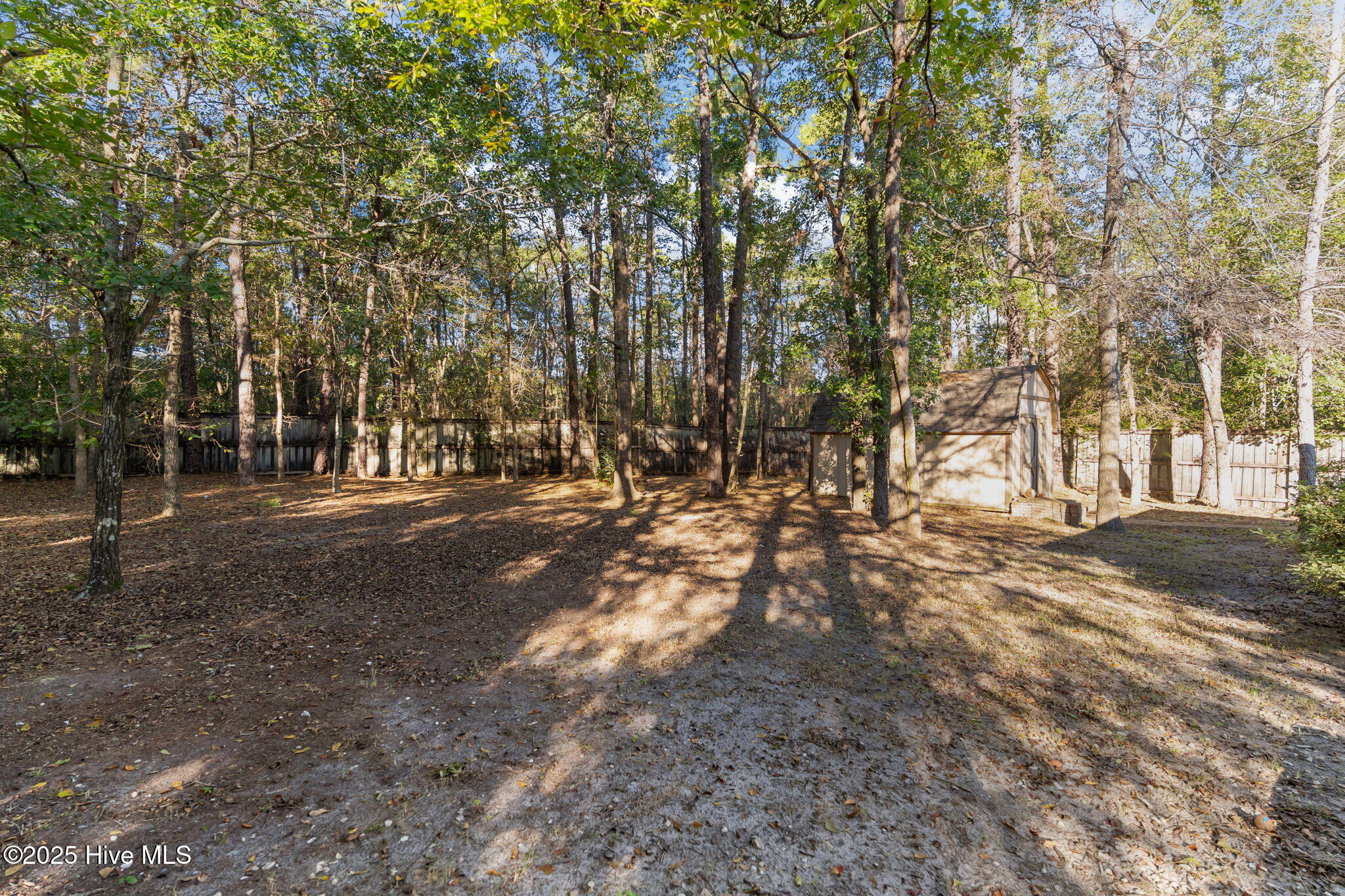 100537422 | Photo 44