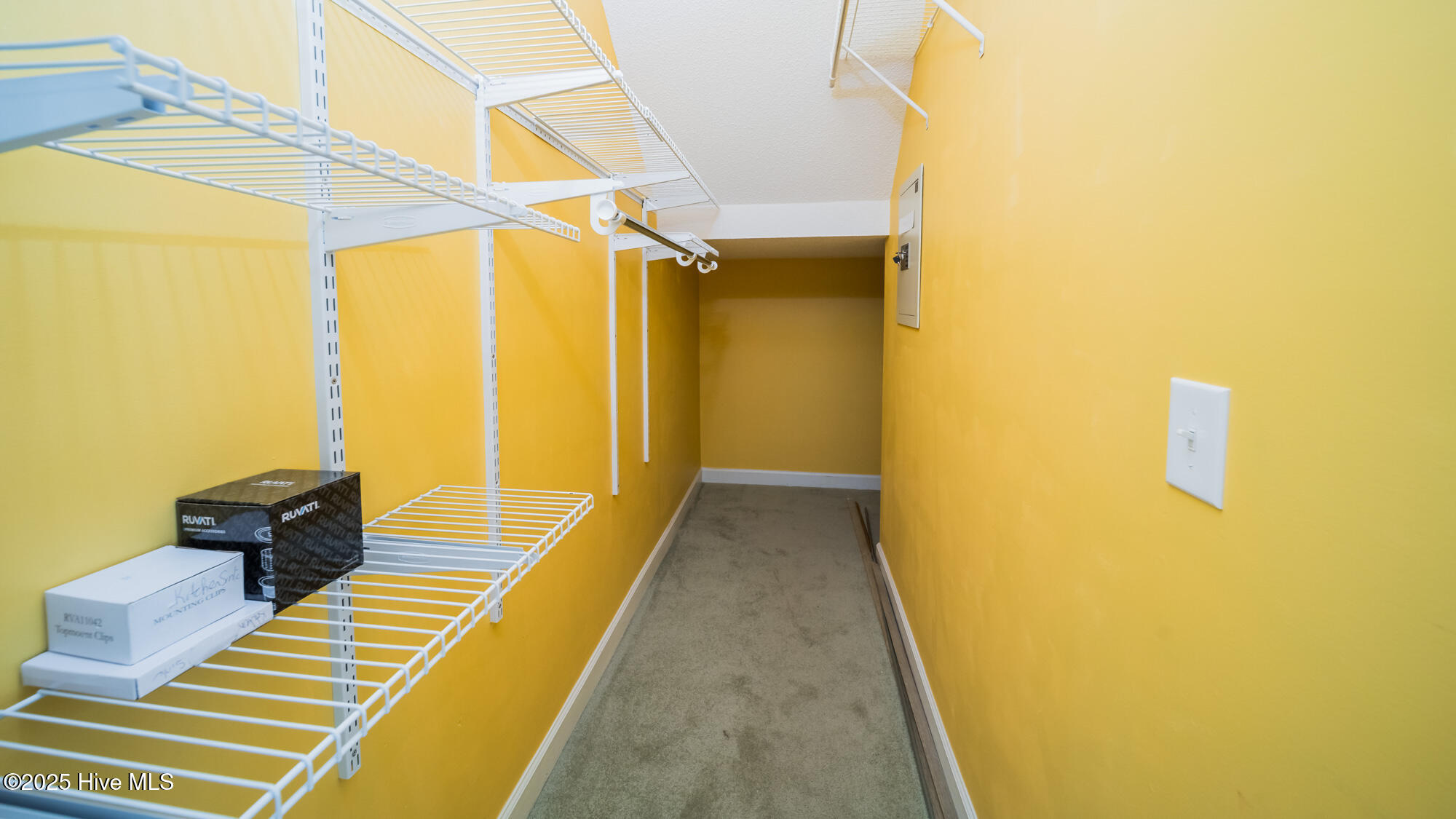 100516325 | Photo 23