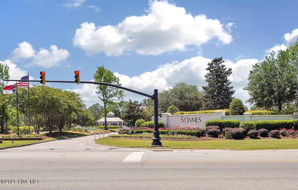 100554585 | Photo 33