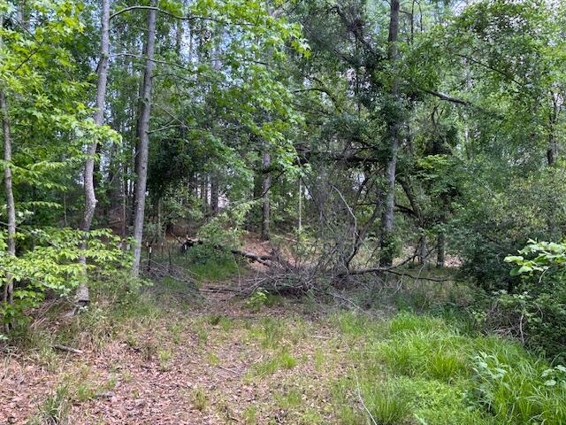 2064 Glenn Falls, Grovetown, GA, 30813