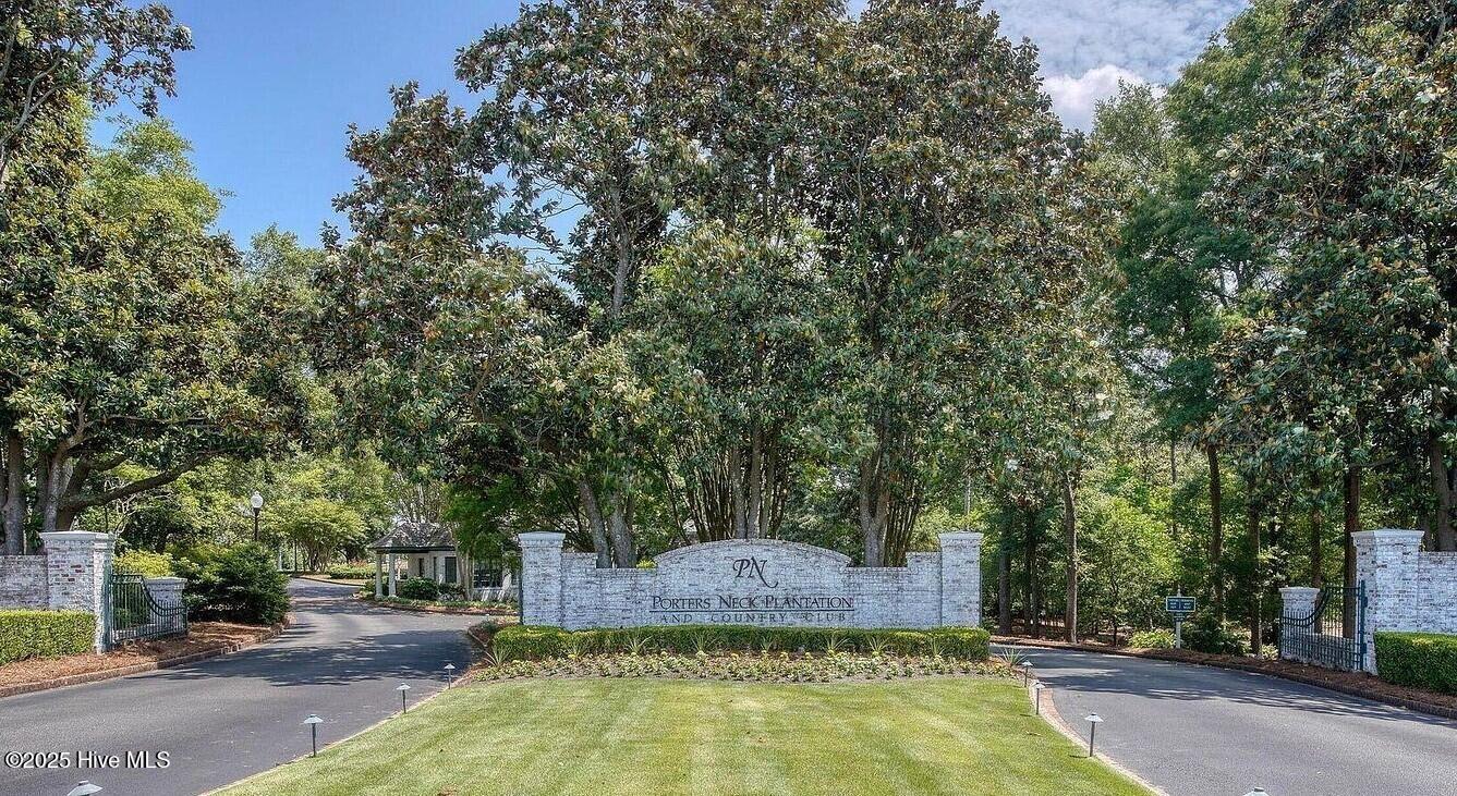 100520263 | Photo 48