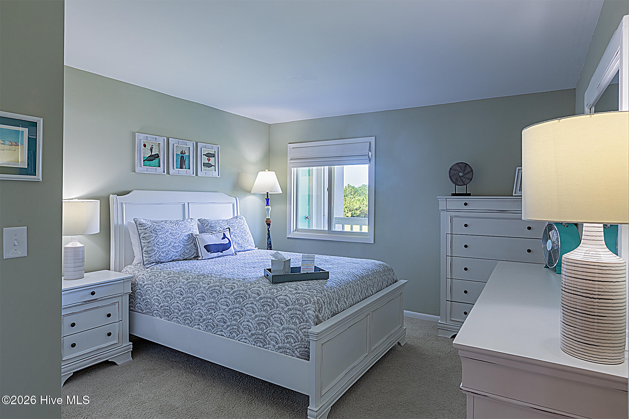 100551765 | Photo 28