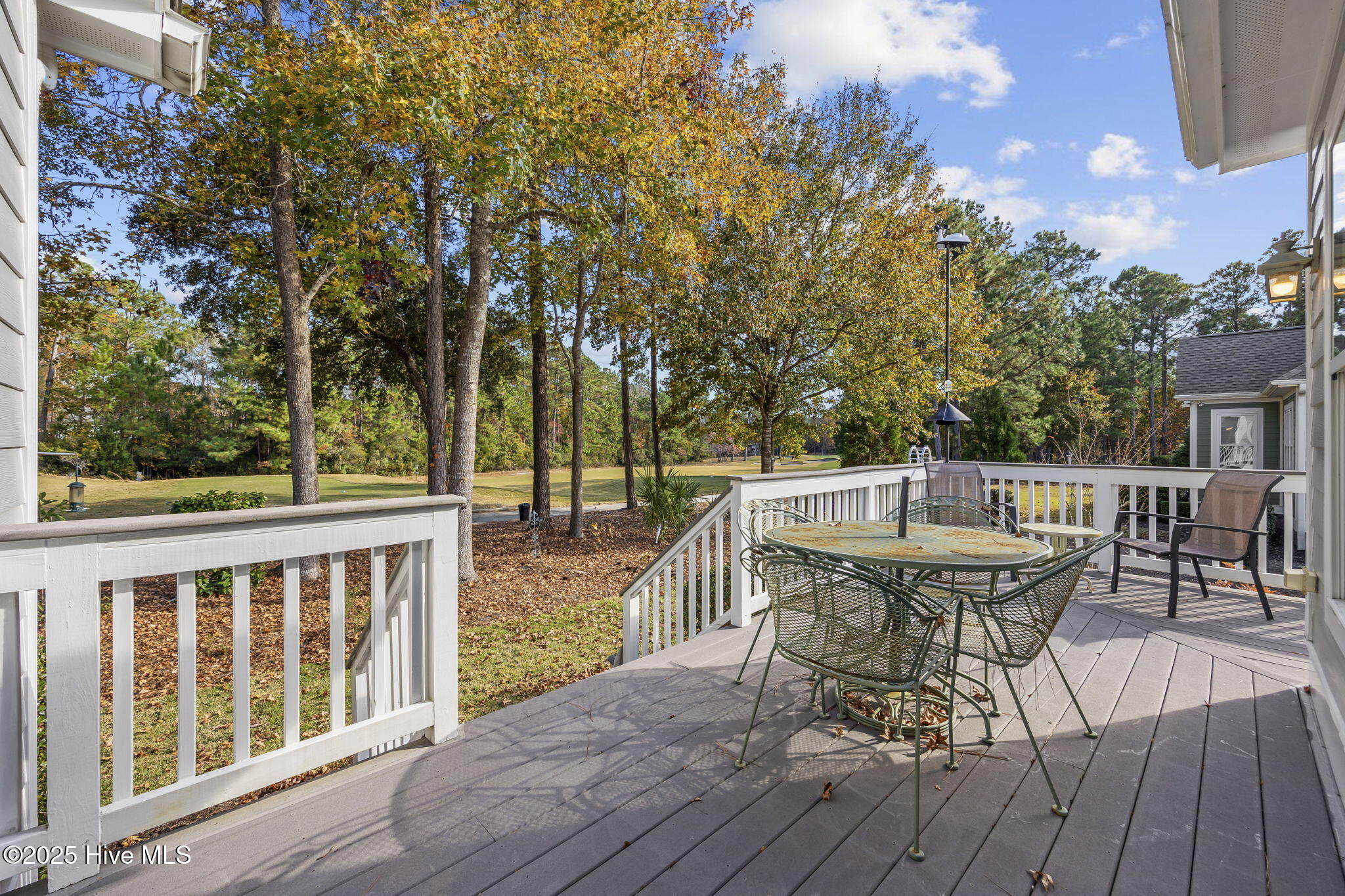 100542443 | Photo 31