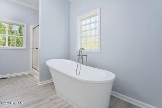 100512300 | Photo 17