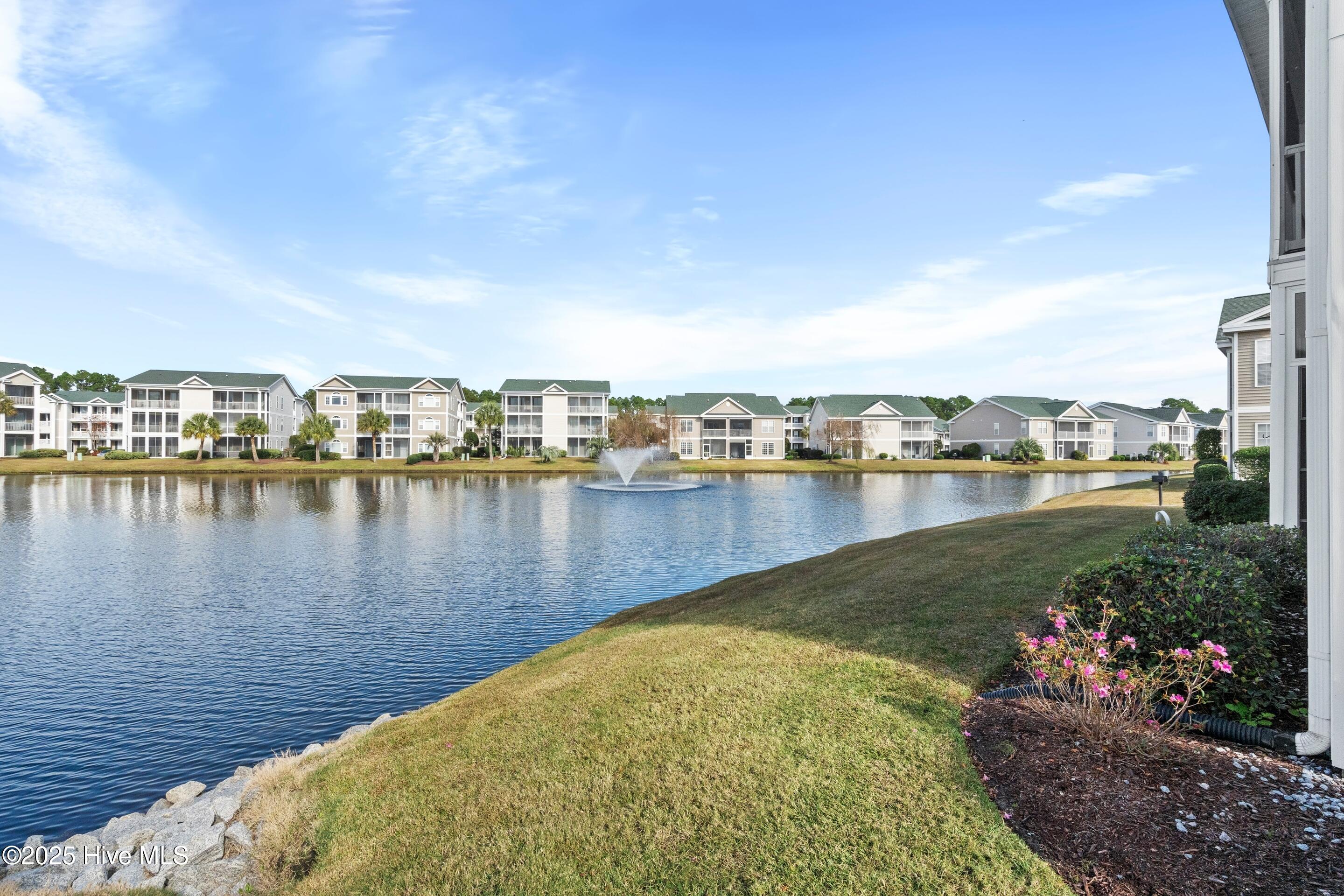 100542567 | Photo 33