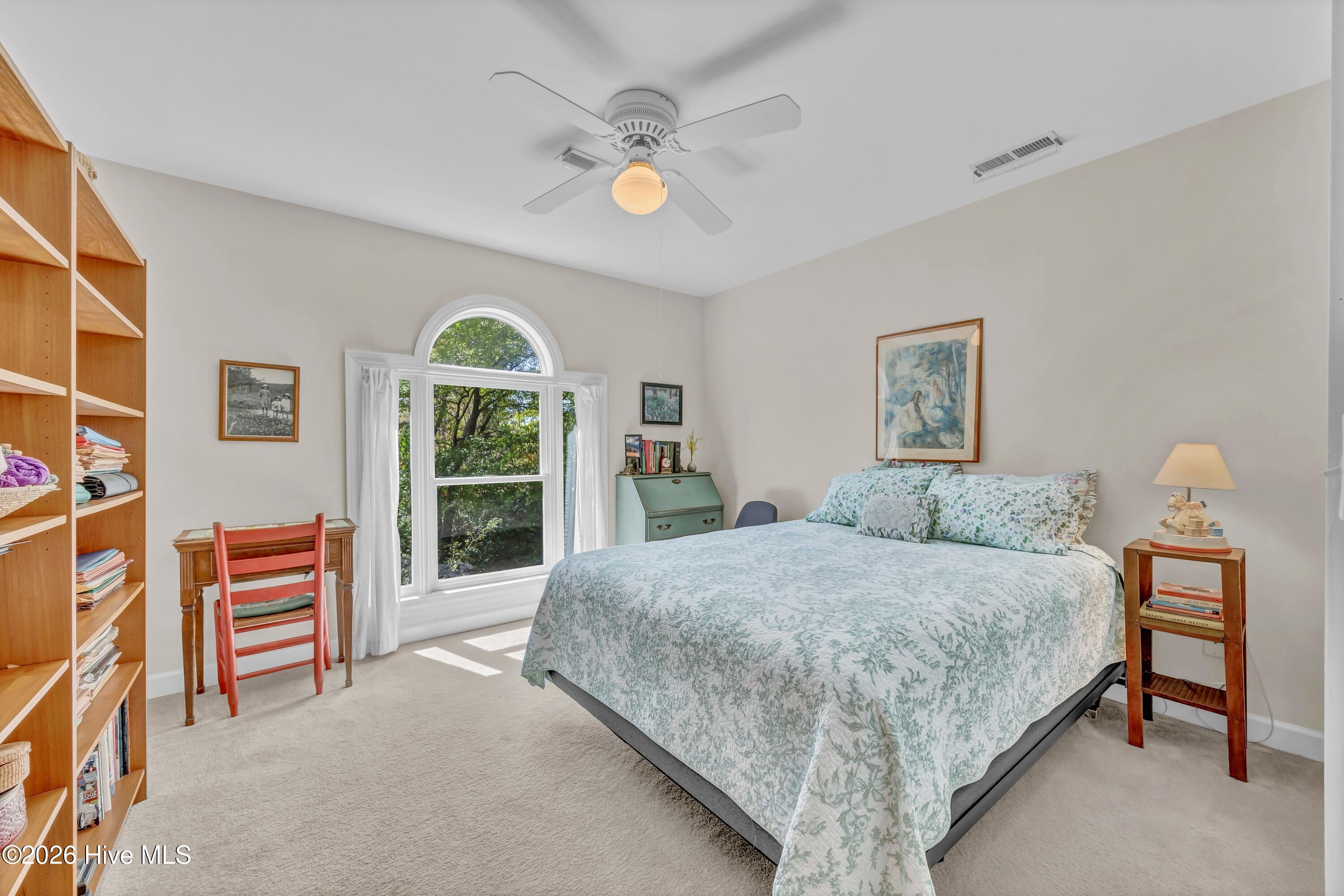 100566684 | Photo 29