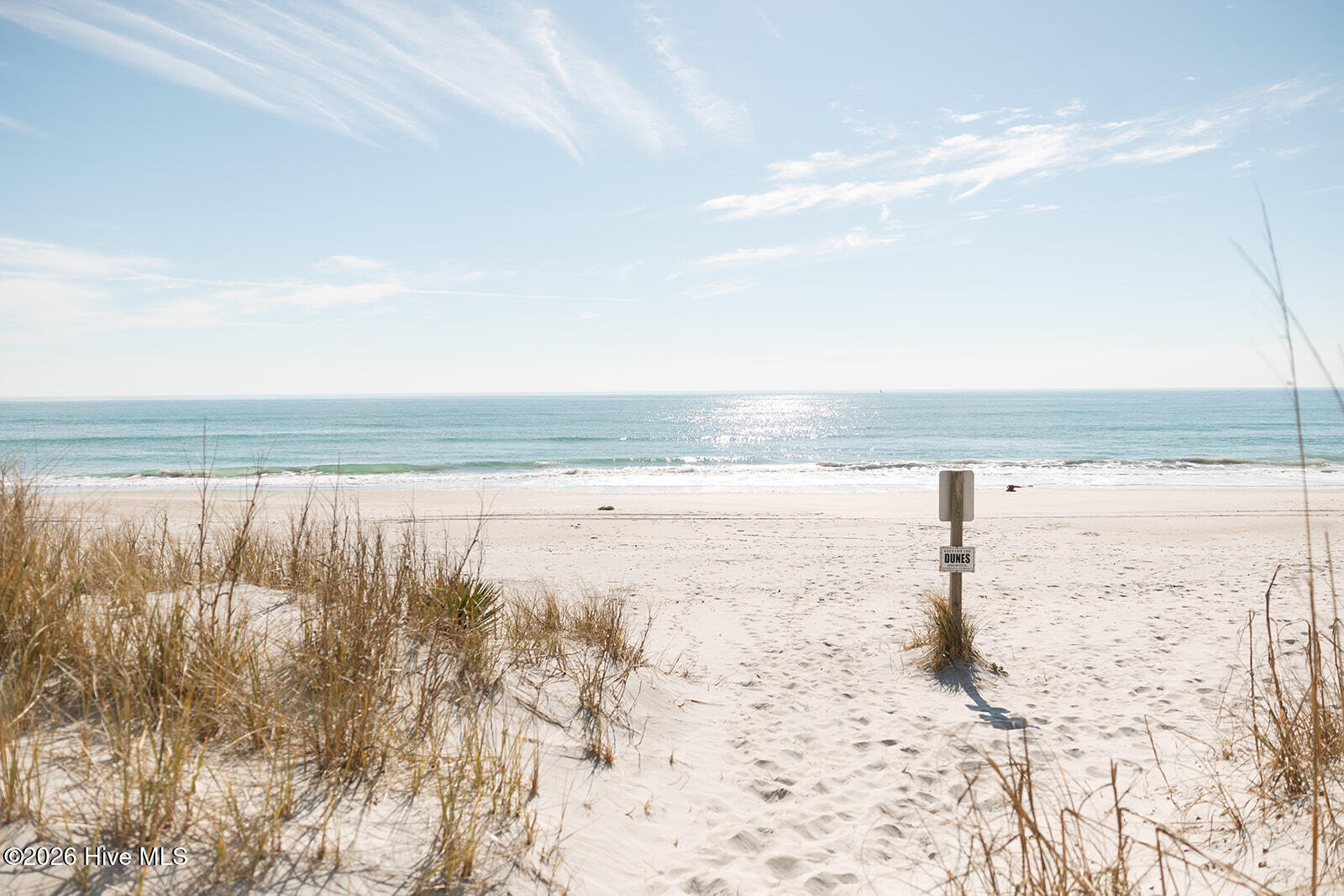 100552554 | Photo 51