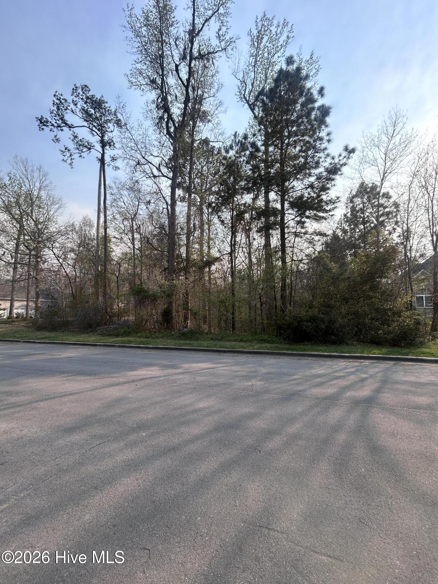 Lot 5 Us 264a, Bailey, NC, 27807