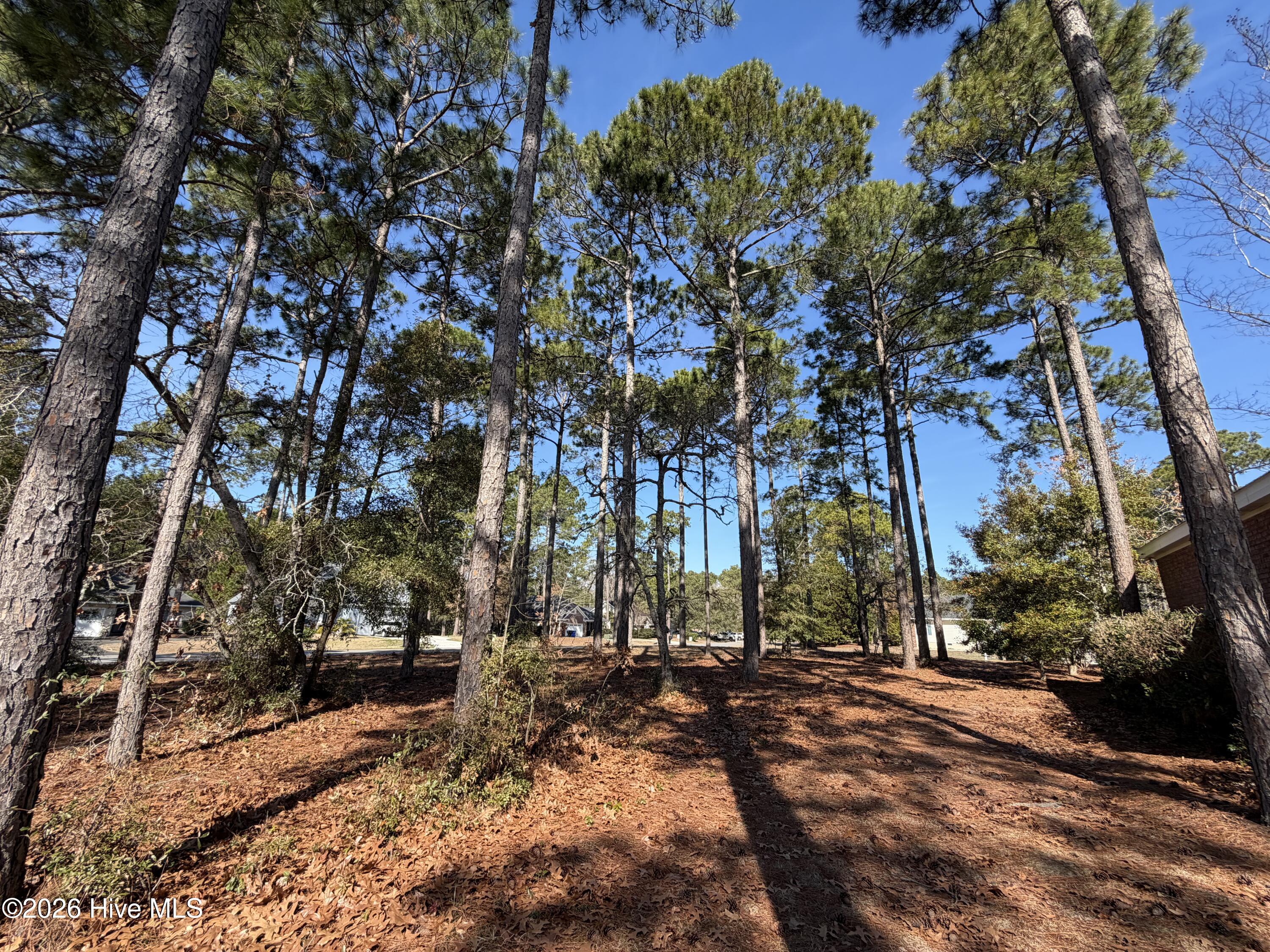 100559665 | Photo 28