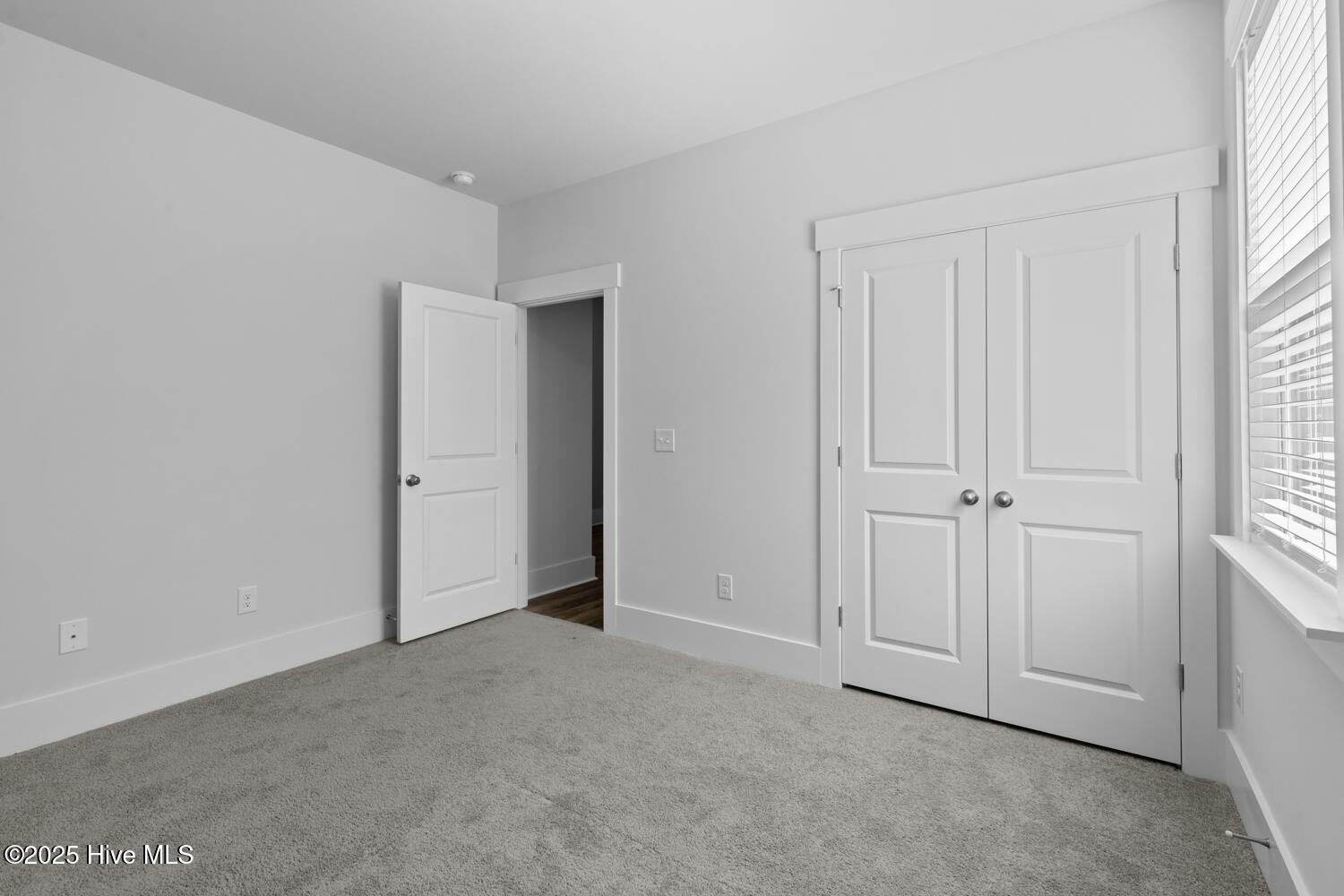 100540047 | Photo 11