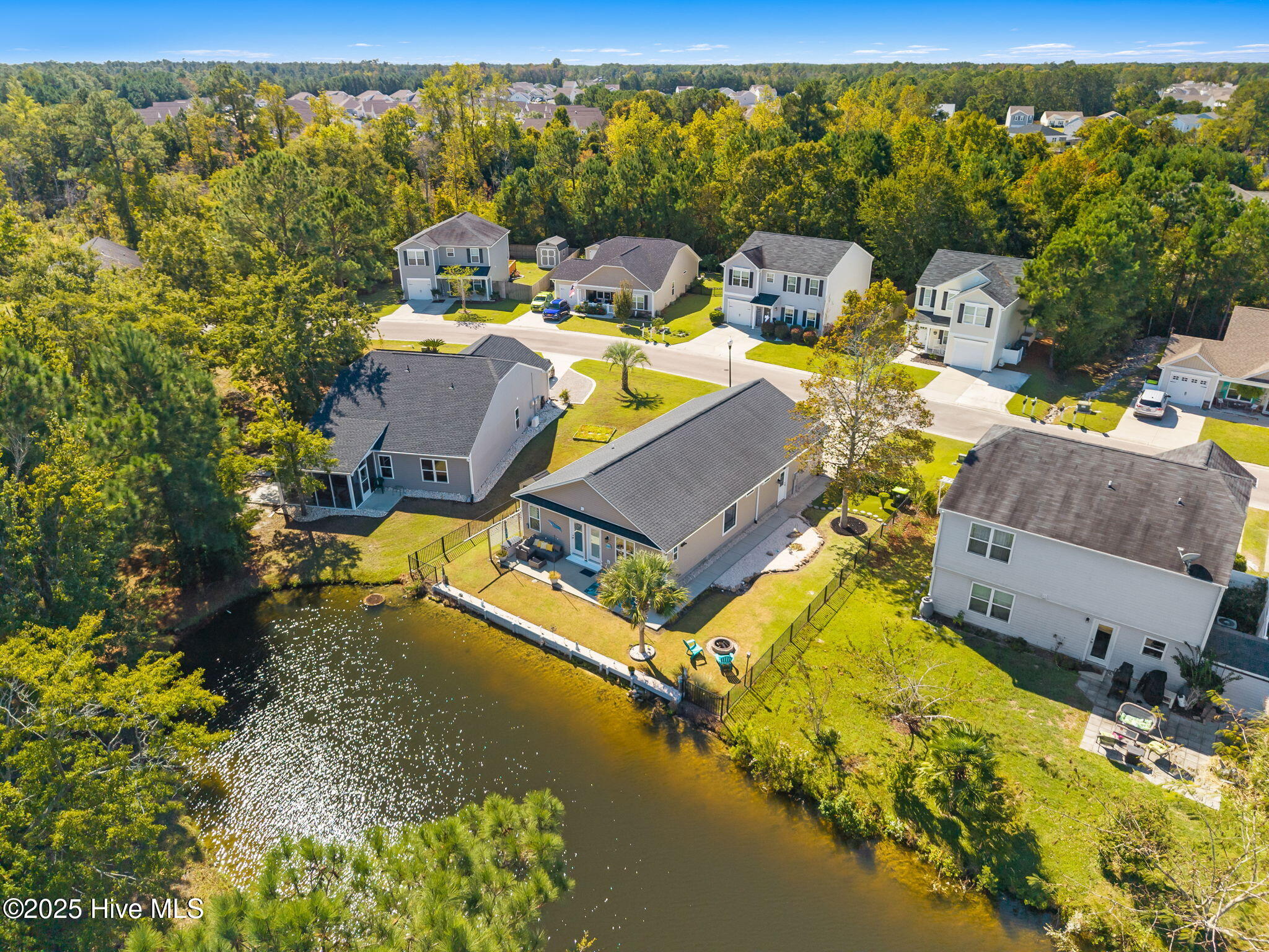 100536893 | Photo 42