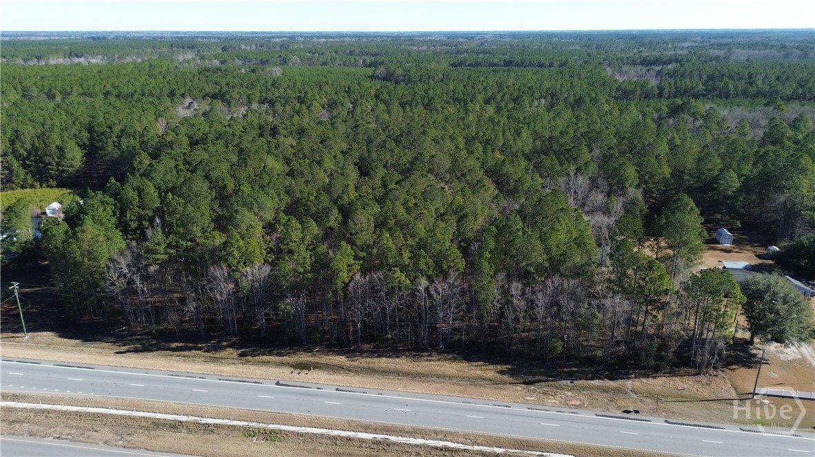 Homes for sale in Springfield, GA | 0 Hwy 21 N, Springfield, GA 31329 | MLS# SA349590