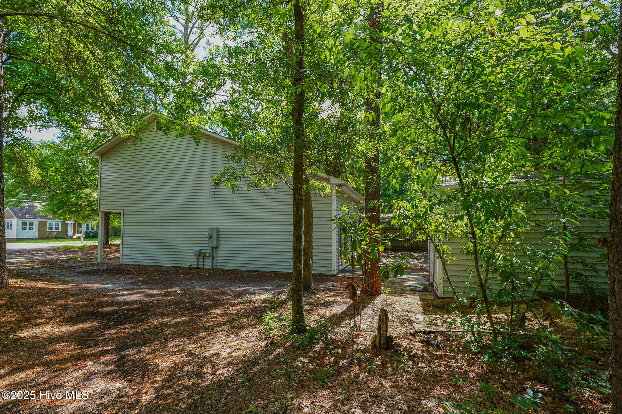 100556666 | Photo 30