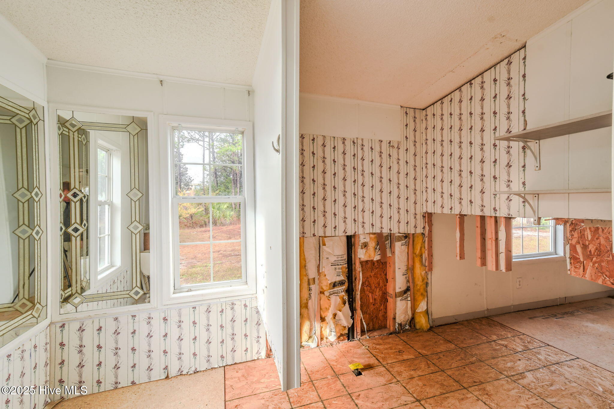 100545513 | Photo 17