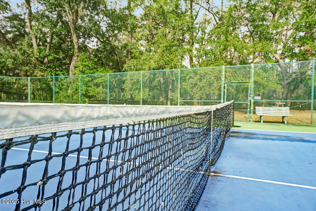 100504453 | Photo 57