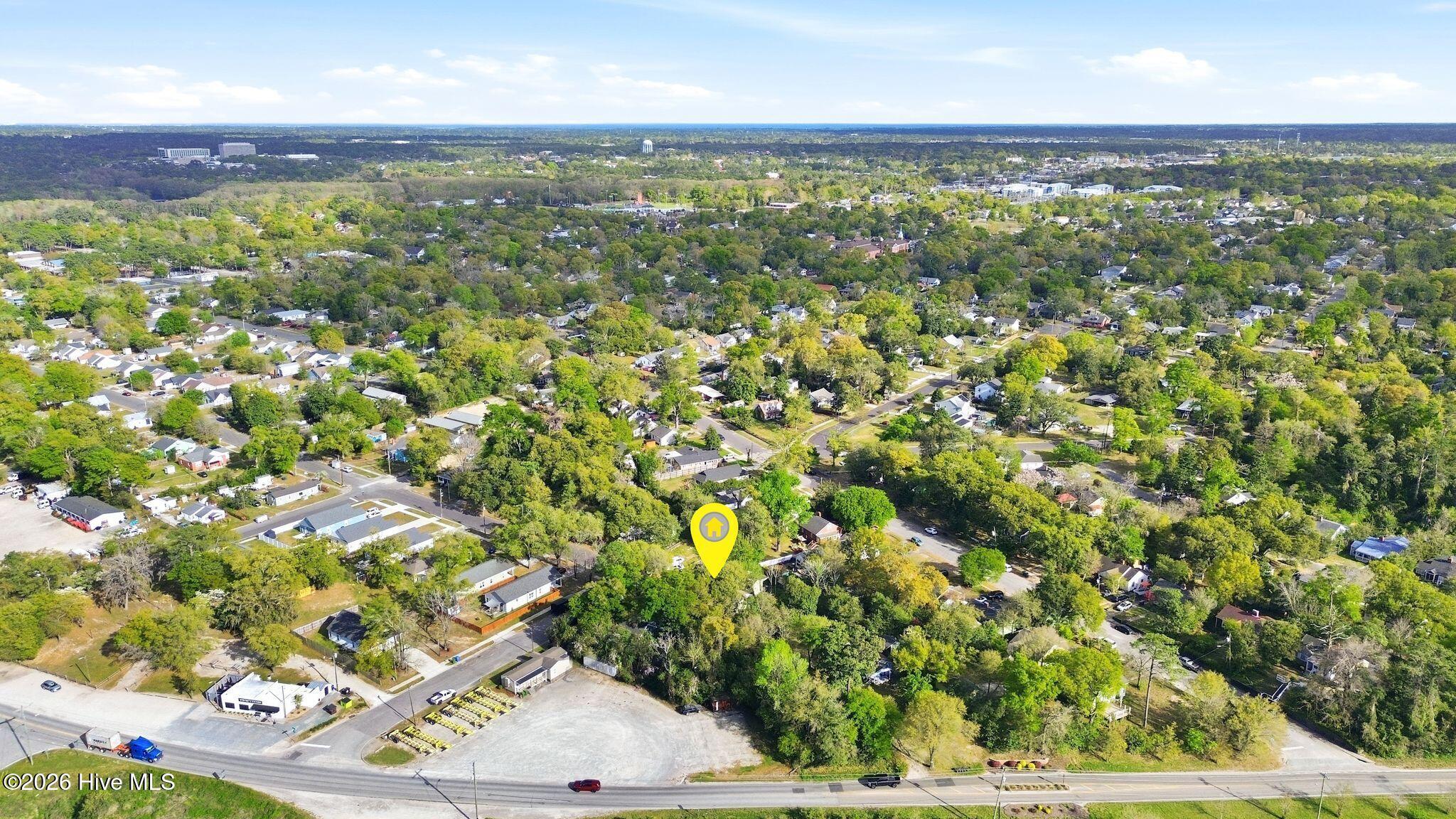 100564510 | Photo 69