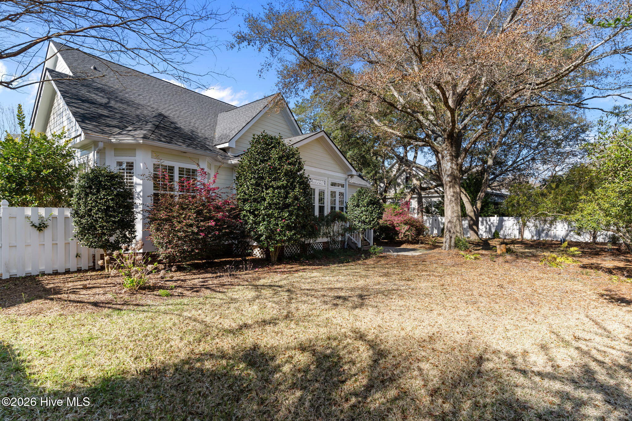 100561697 | Photo 33