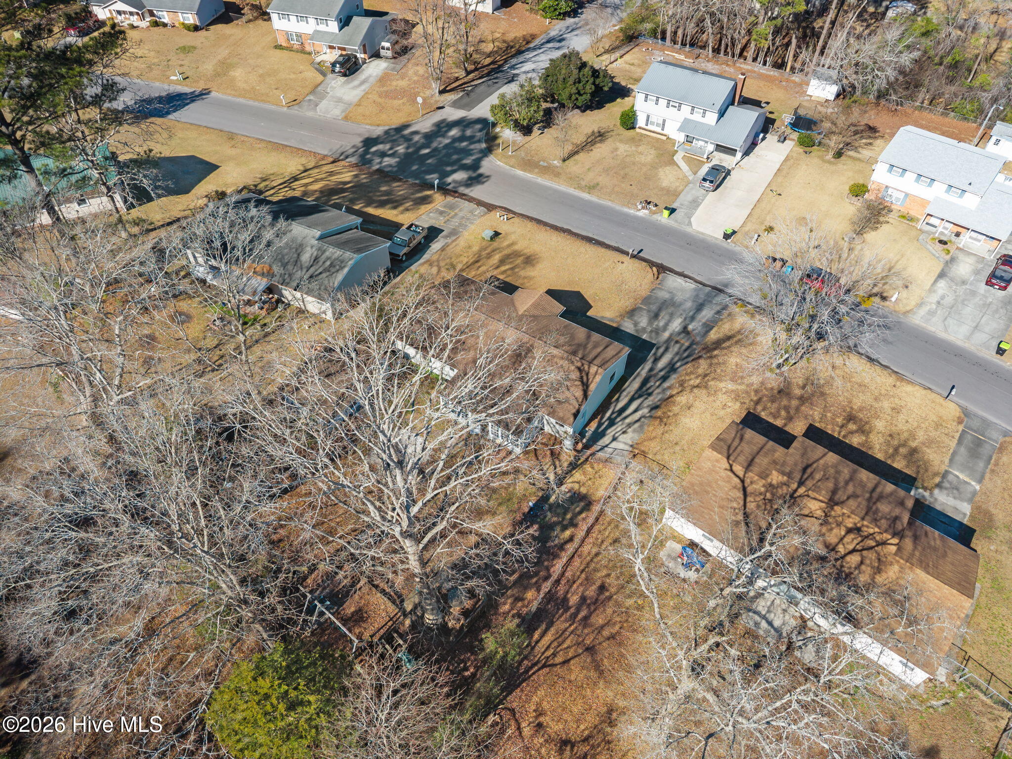 100549992 | Photo 27