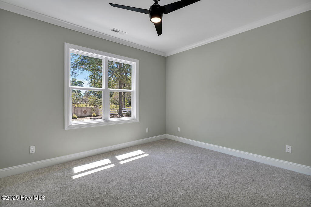 100529552 | Photo 19