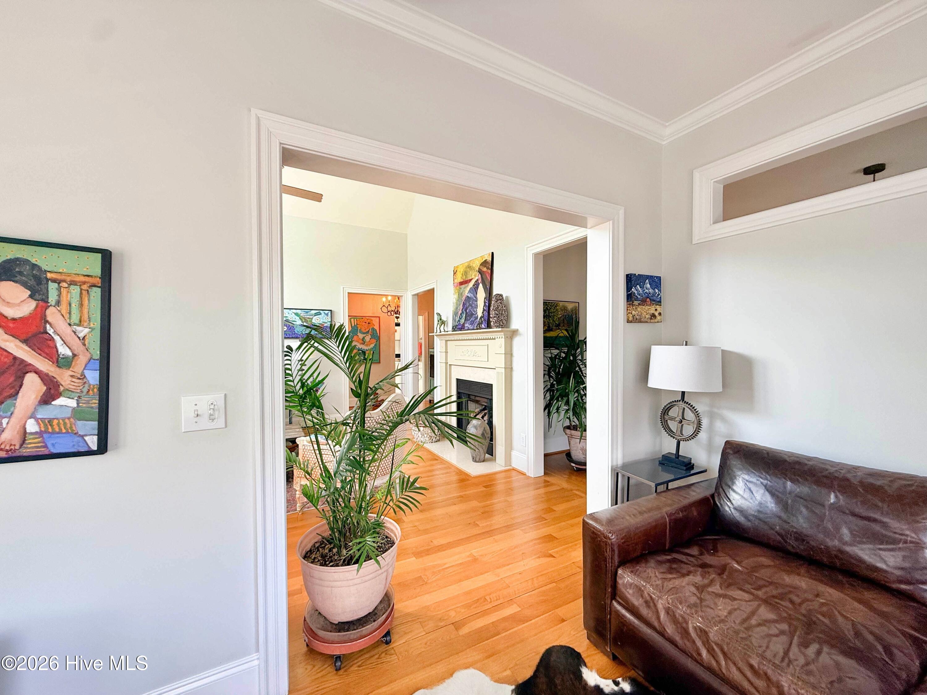 100559415 | Photo 23