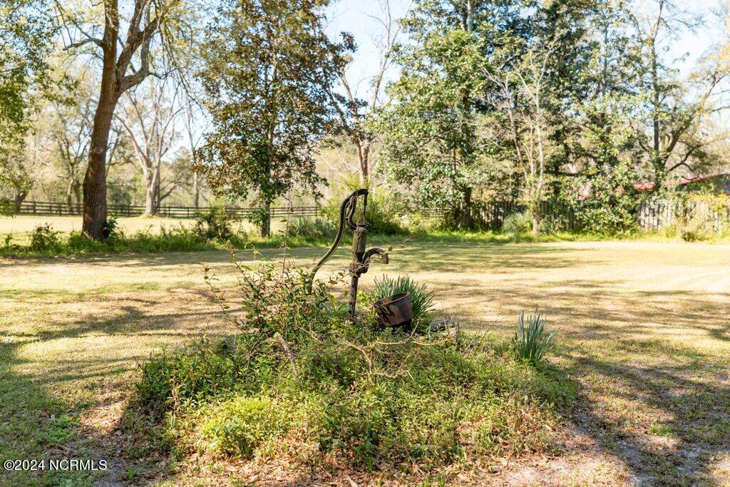 100516125 | Photo 23