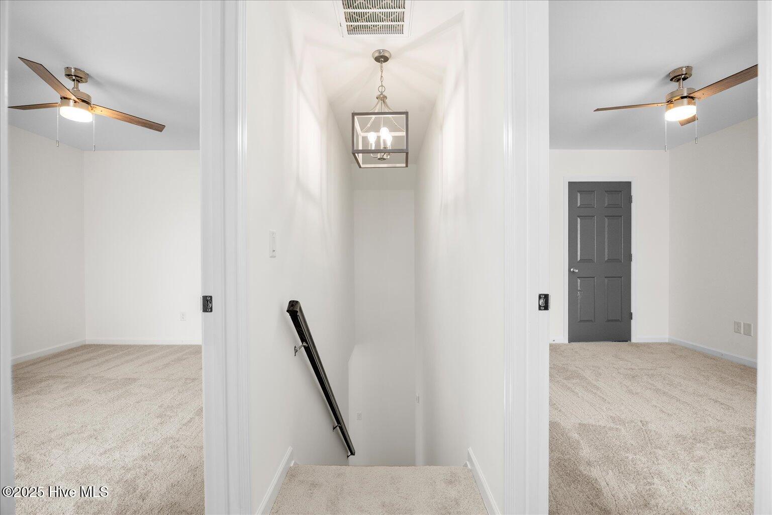 100522209 | Photo 22