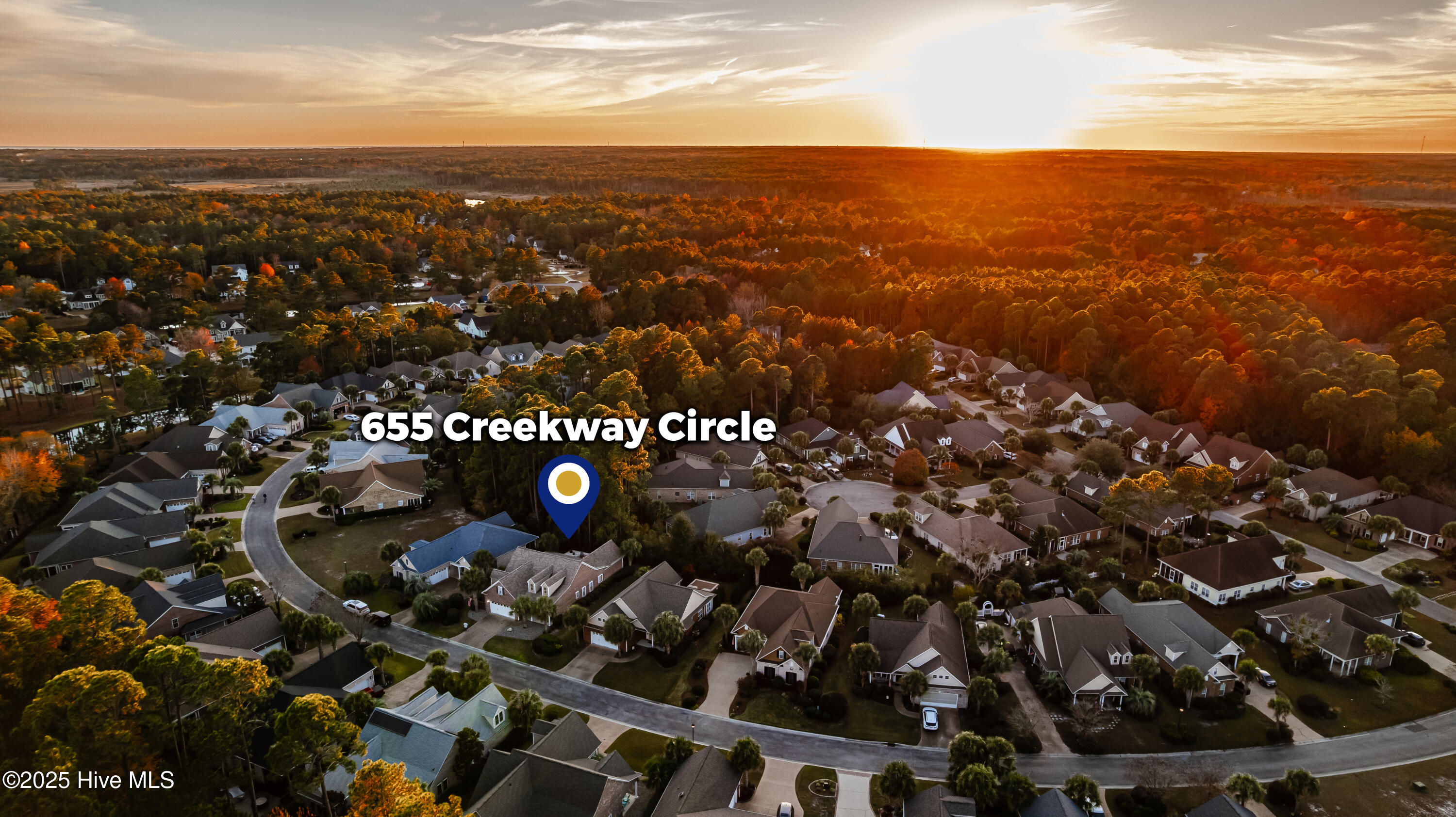 100542426 | Photo 49