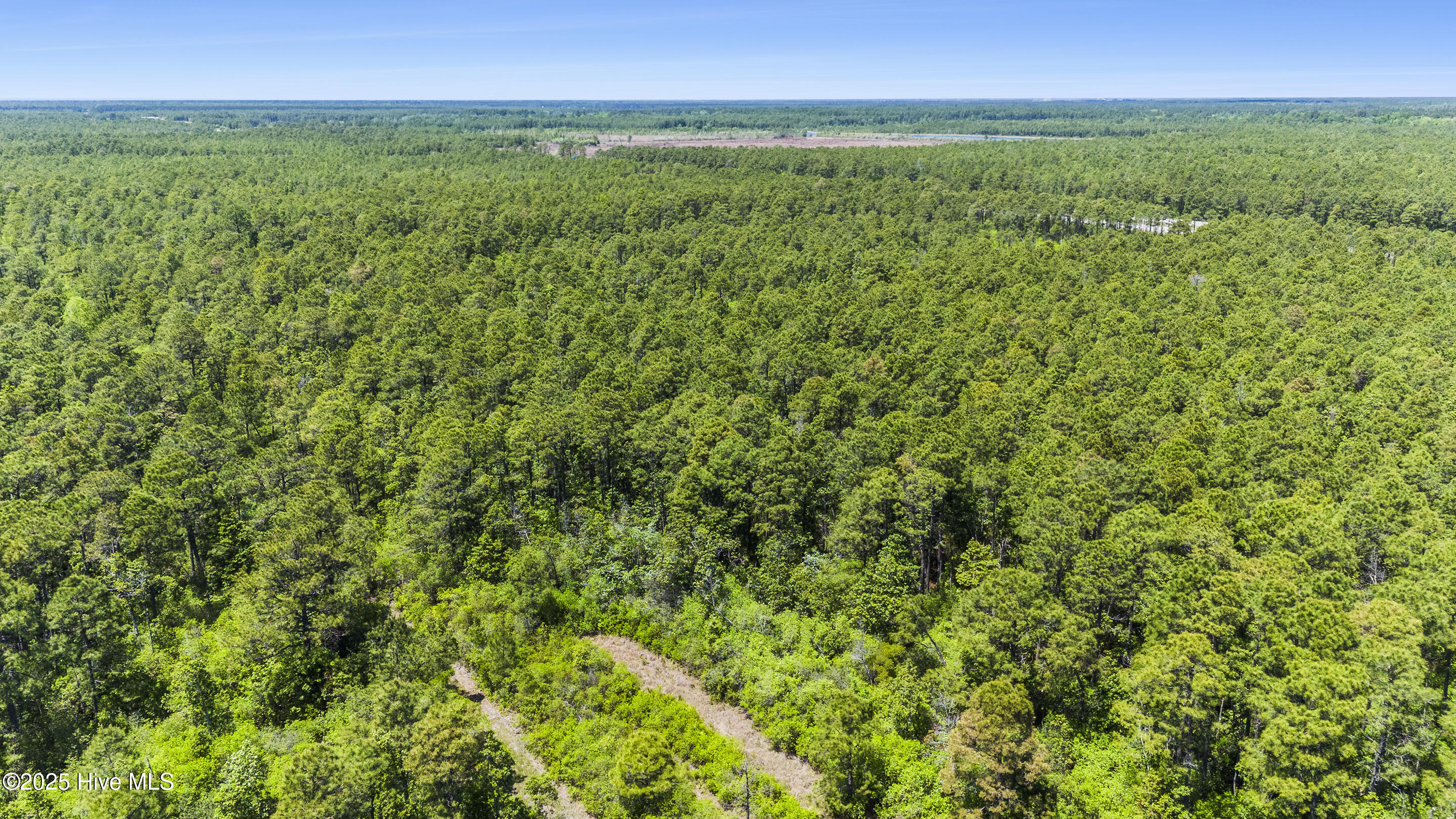 100508739 | Photo 10