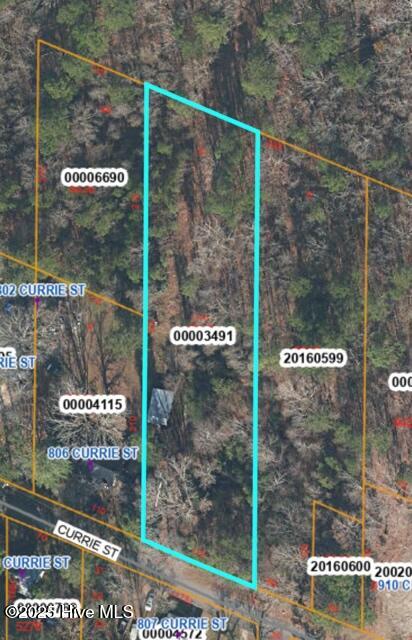 Homes for sale in Carthage, NC | Tbd Currie St, Carthage, NC 28327 | MLS# 100486591