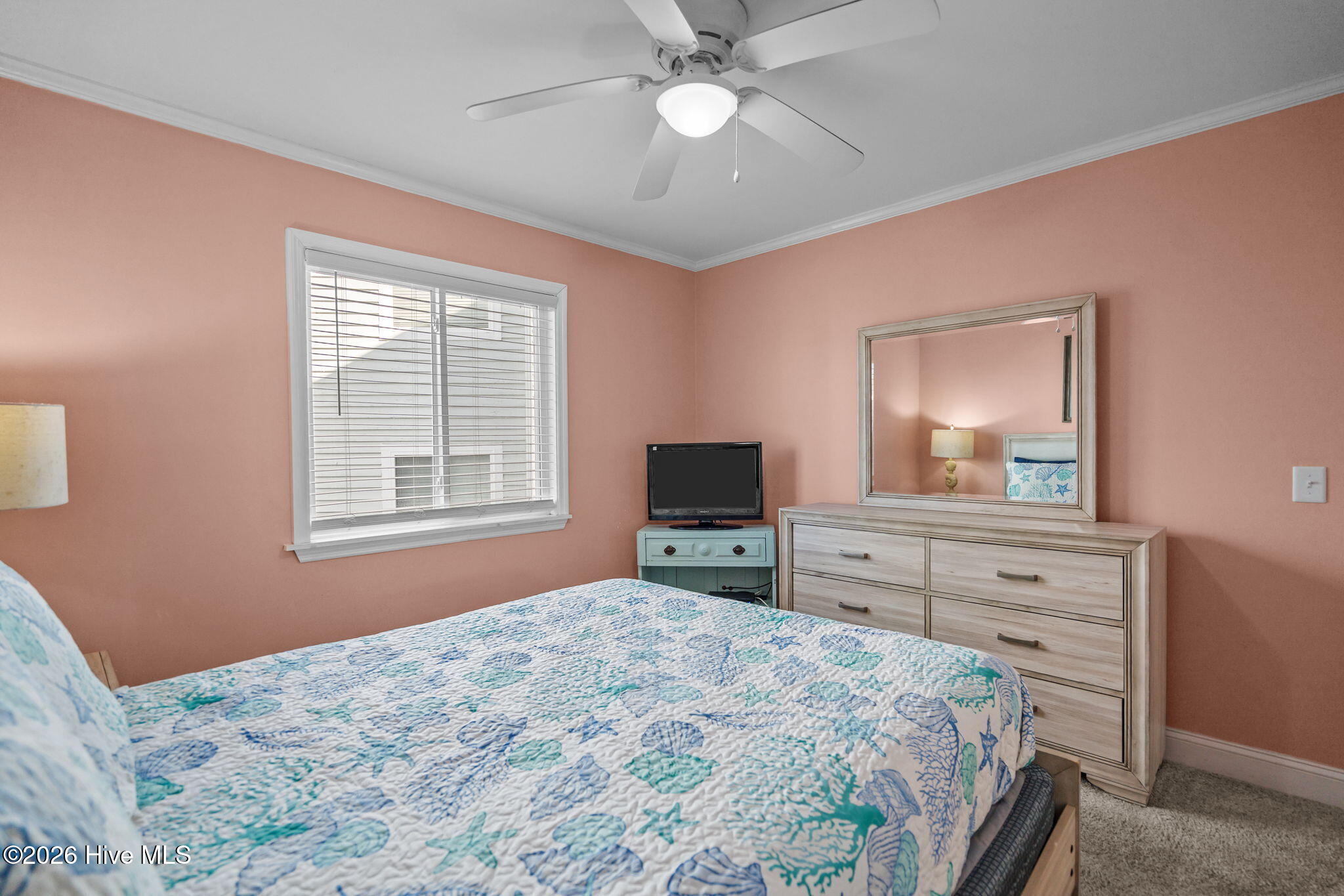 100556842 | Photo 17