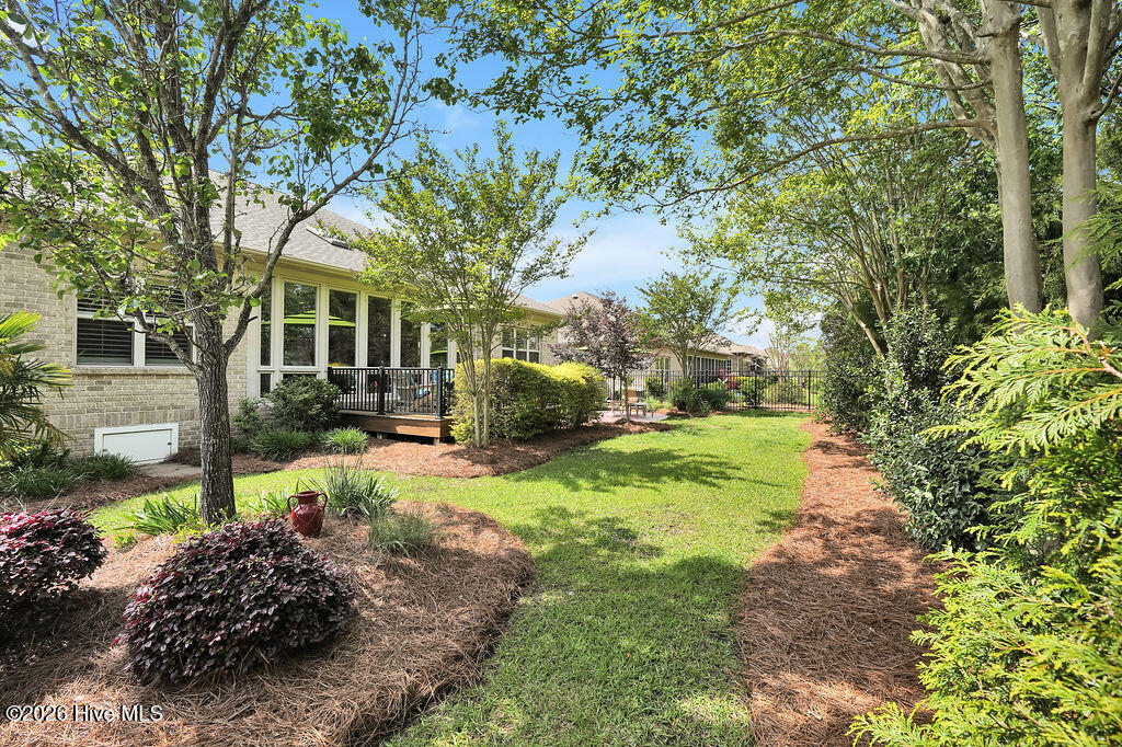 100562114 | Photo 36