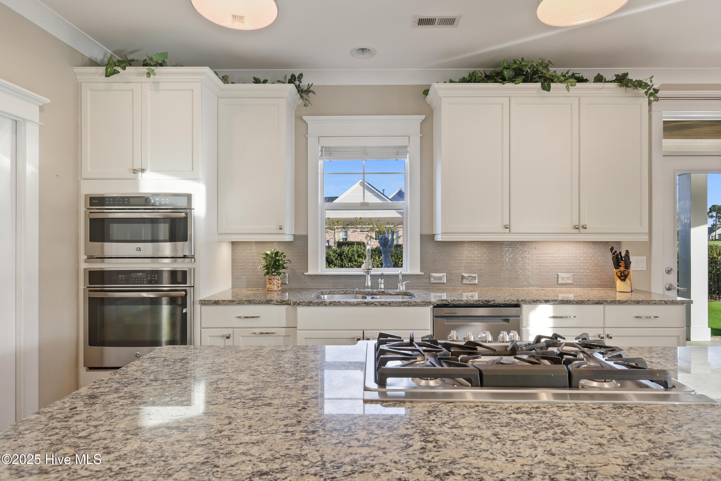 100536655 | Photo 19