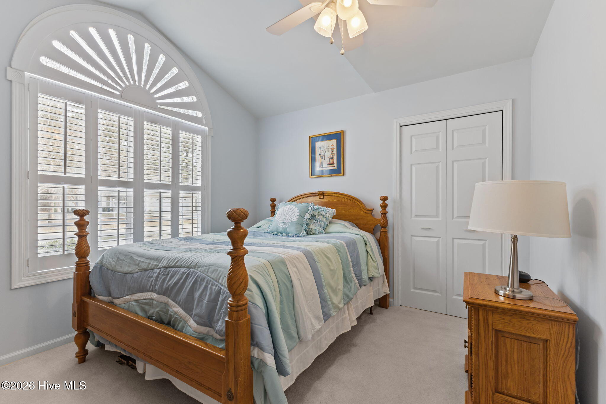 100563135 | Photo 27