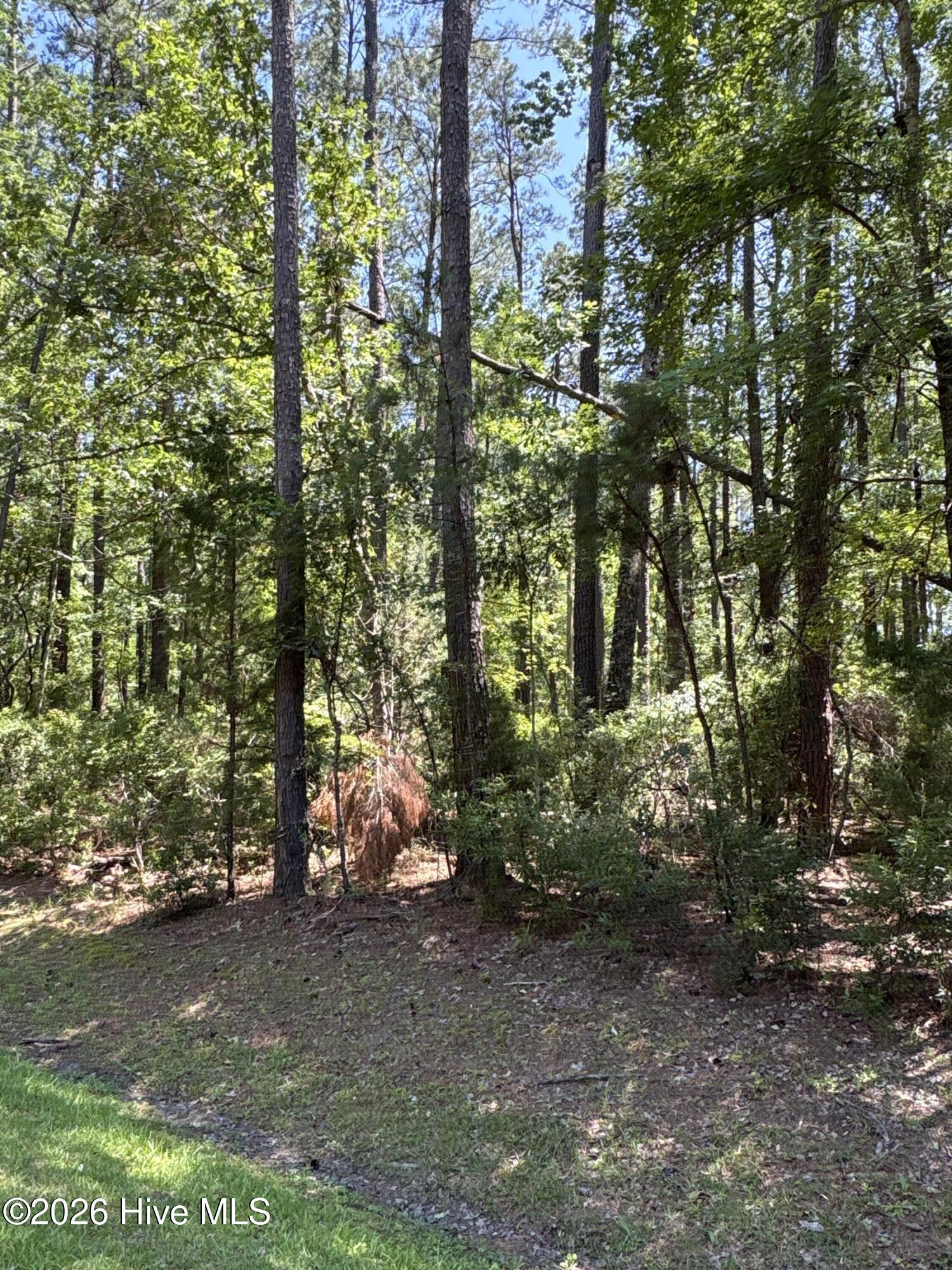 117 2 Headwaters Drive,Oriental