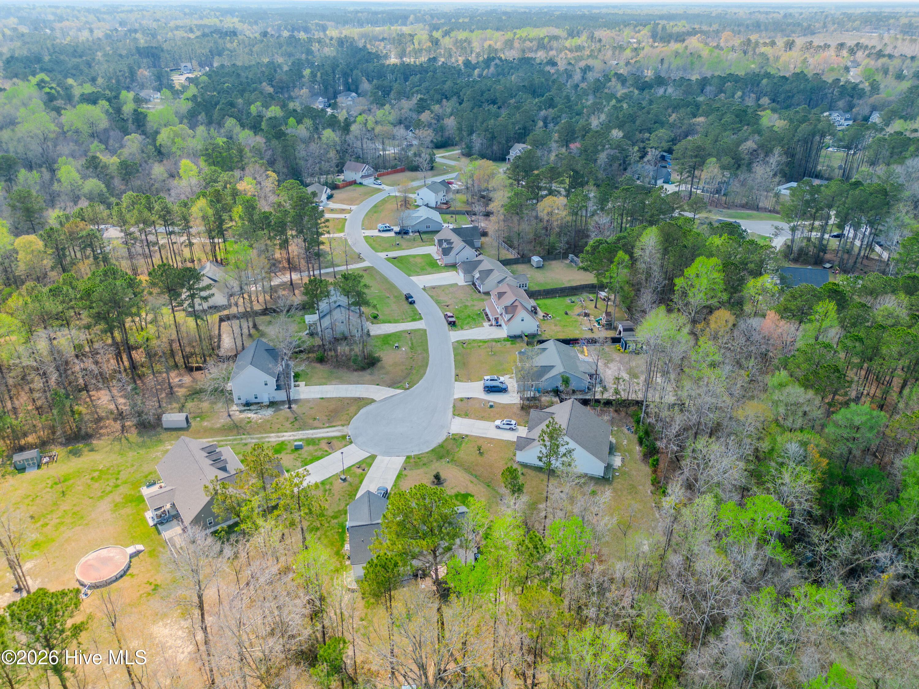 100563083 | Photo 56