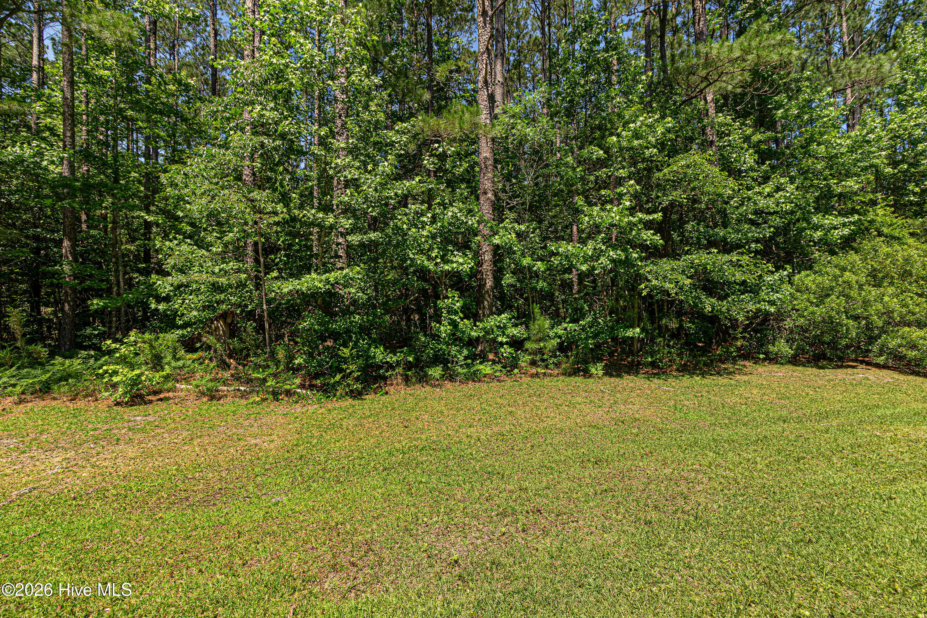 313 Antebellum Drive,Havelock