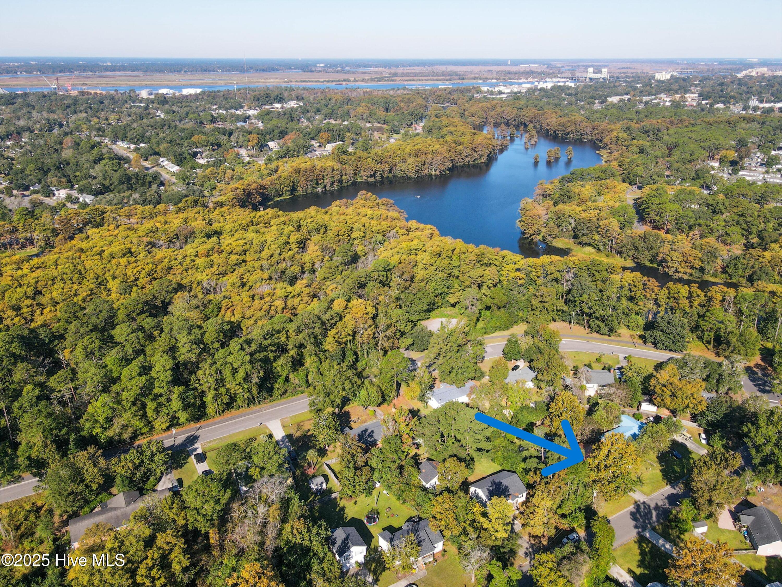 100537869 | Photo 78