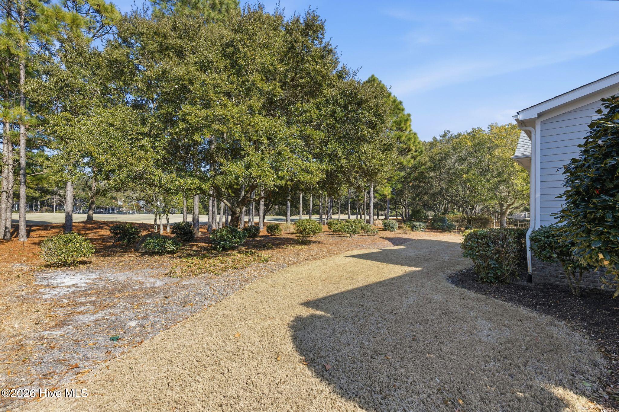 100553774 | Photo 83