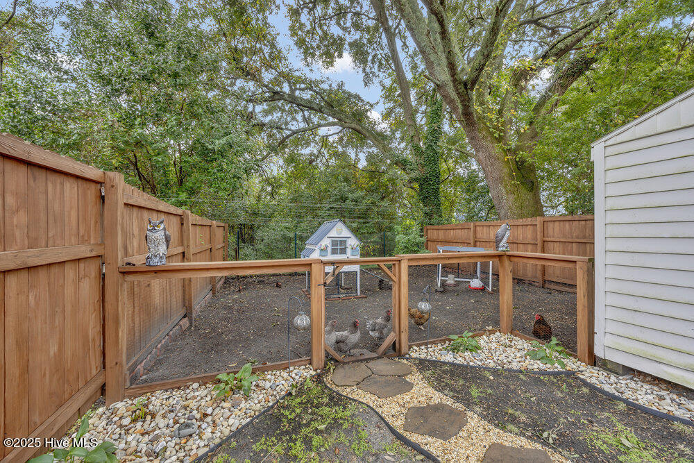 100538169 | Photo 10