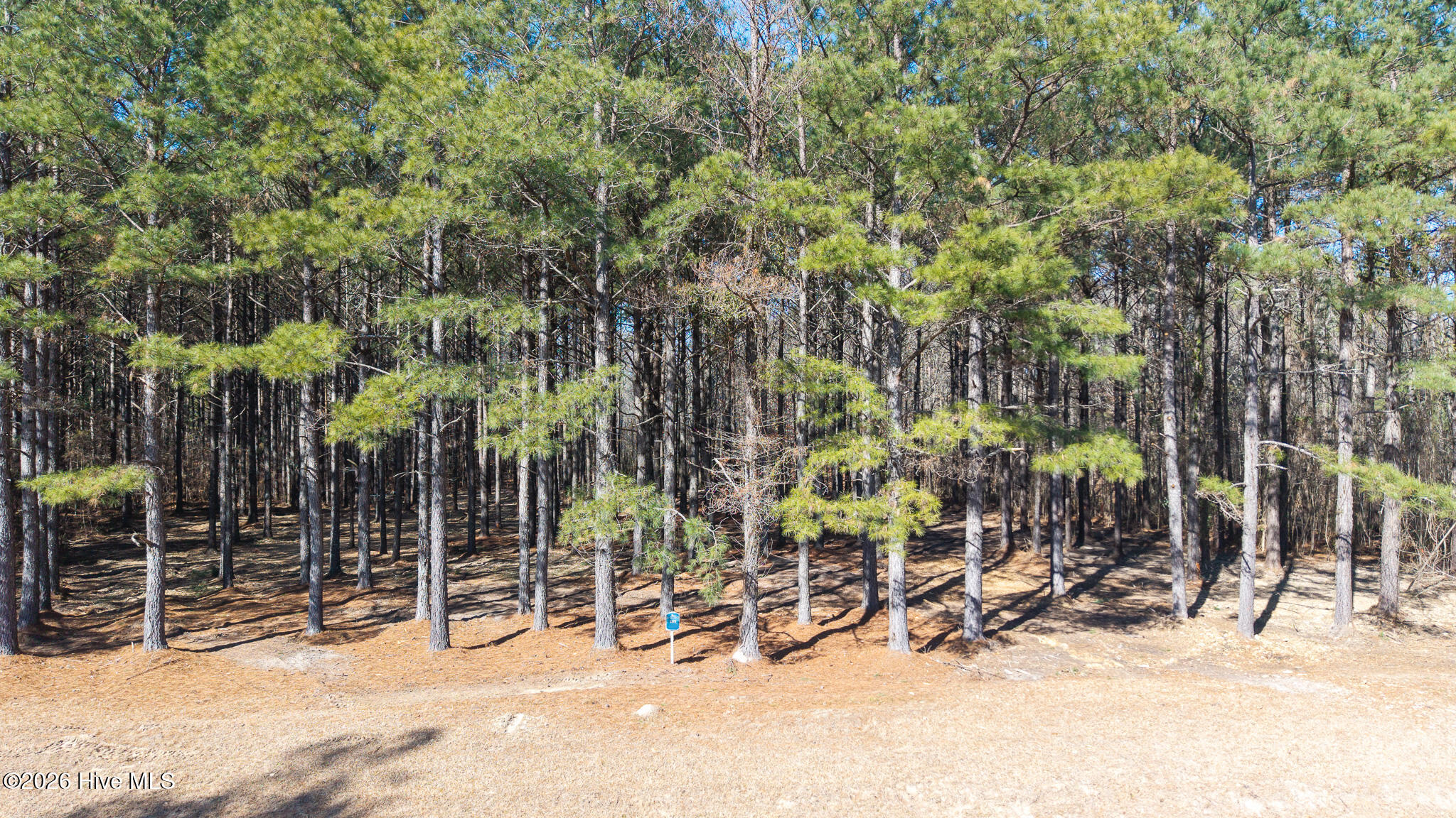 285 Riversound Drive, Edenton, NC, 27932