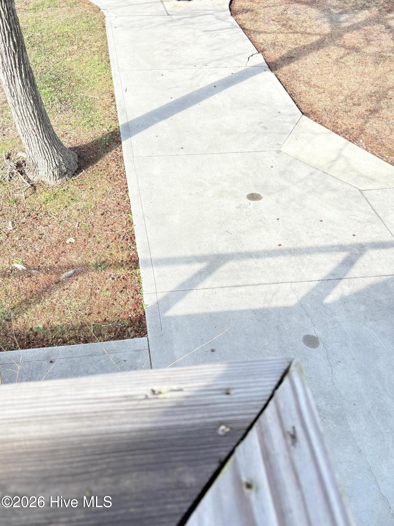 100559102 | Photo 56