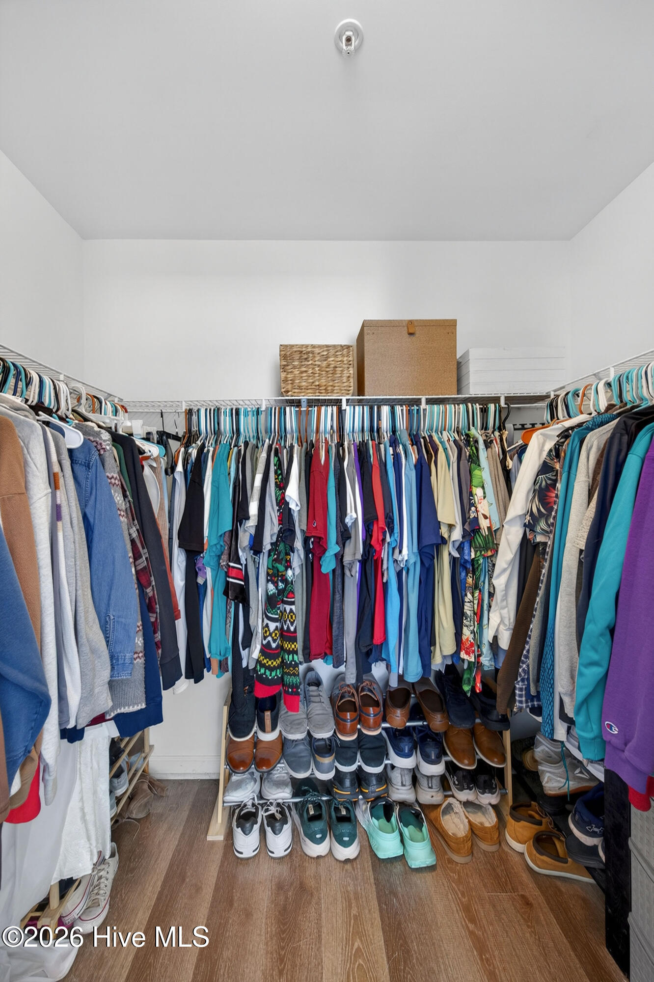 100559380 | Photo 23