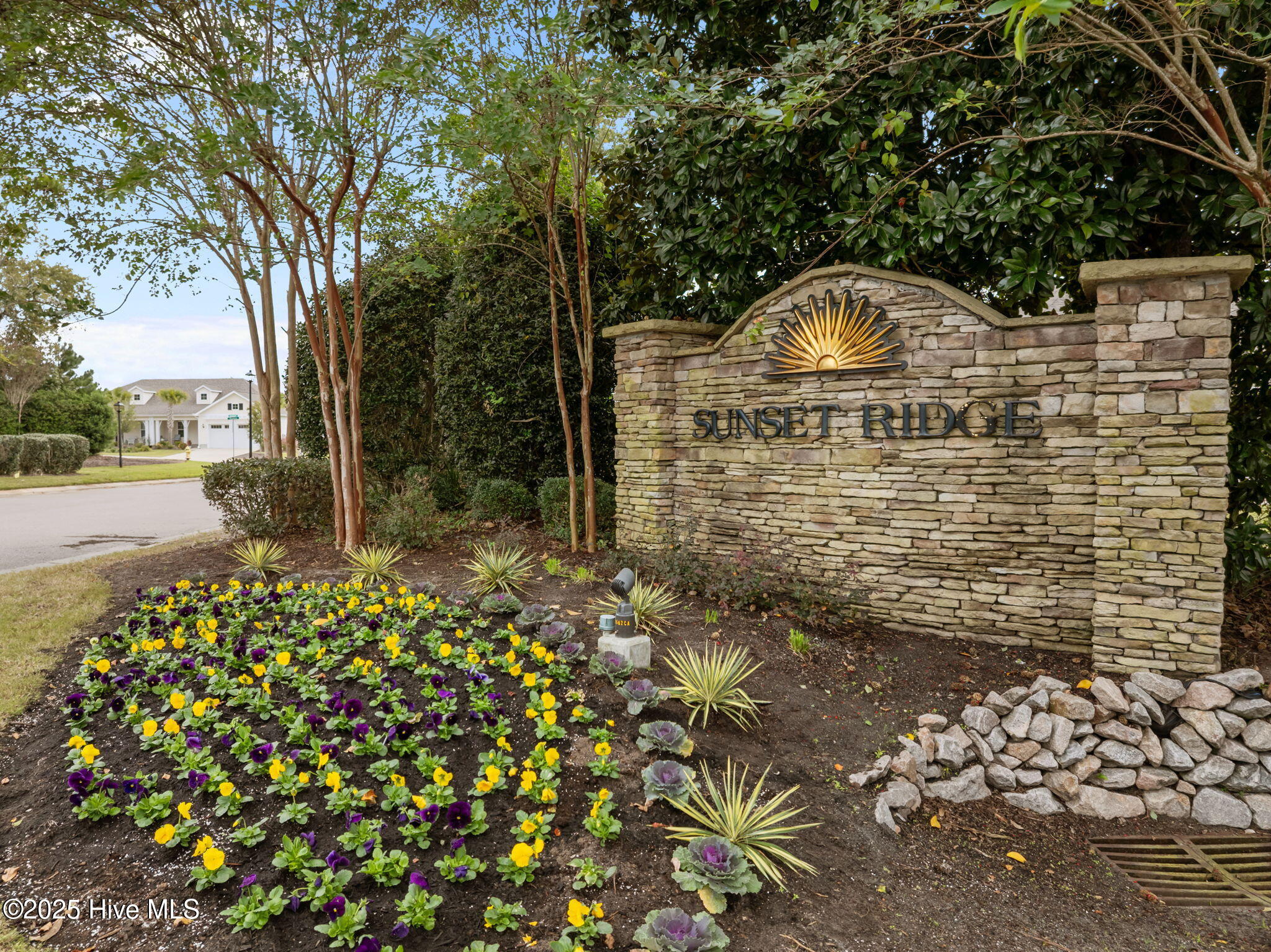 100539451 | Photo 54