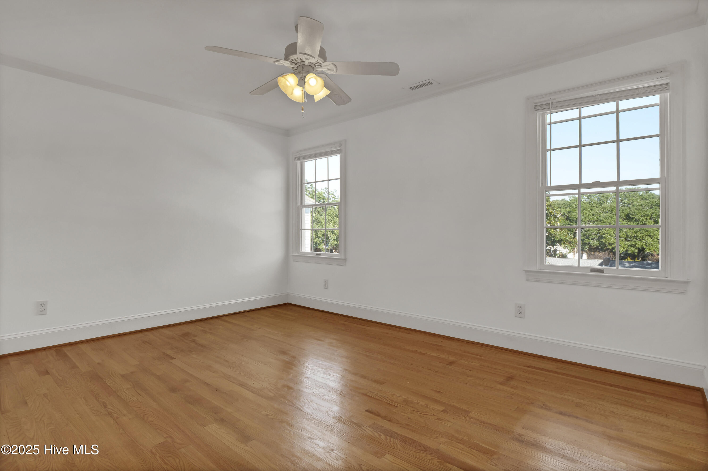 100540971 | Photo 38