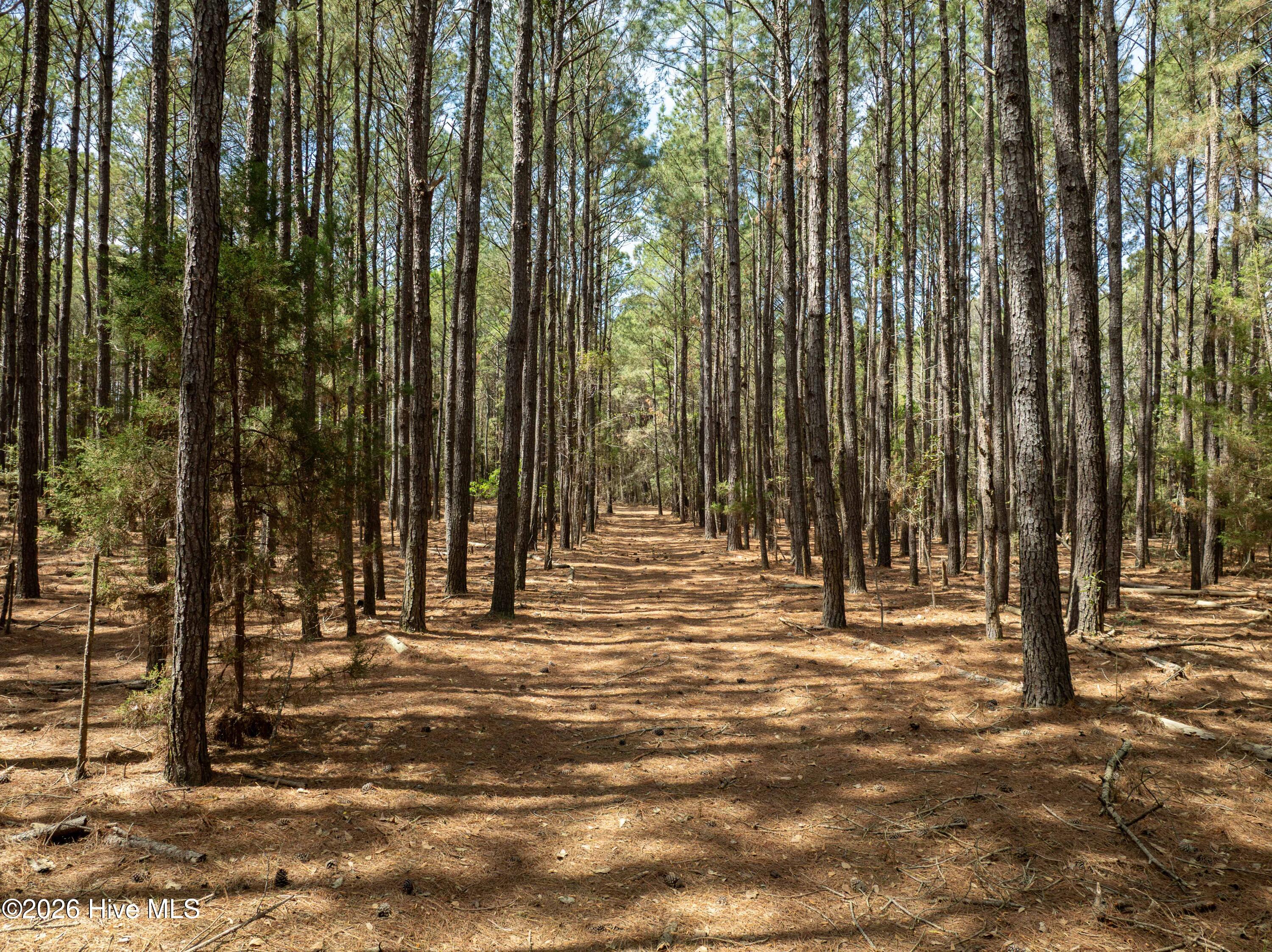 100564032 | Photo 32