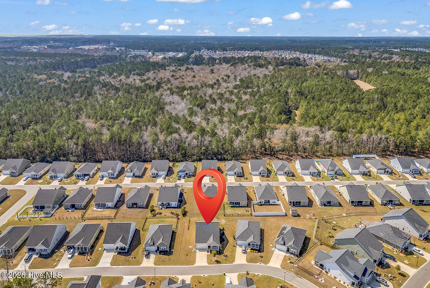 100560005 | Photo 46