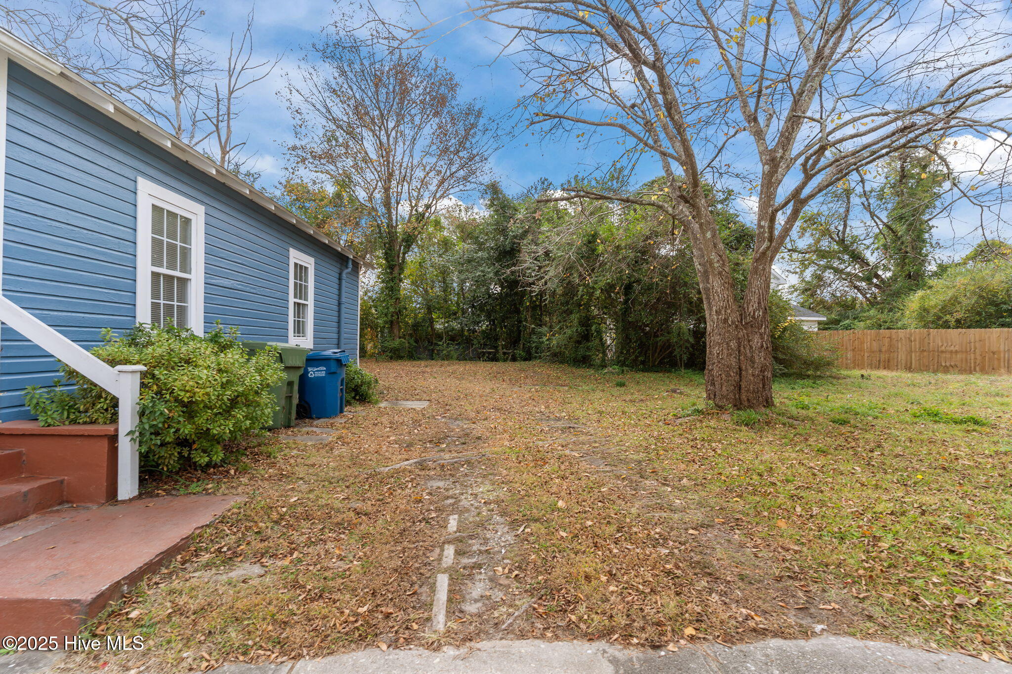 100542982 | Photo 12